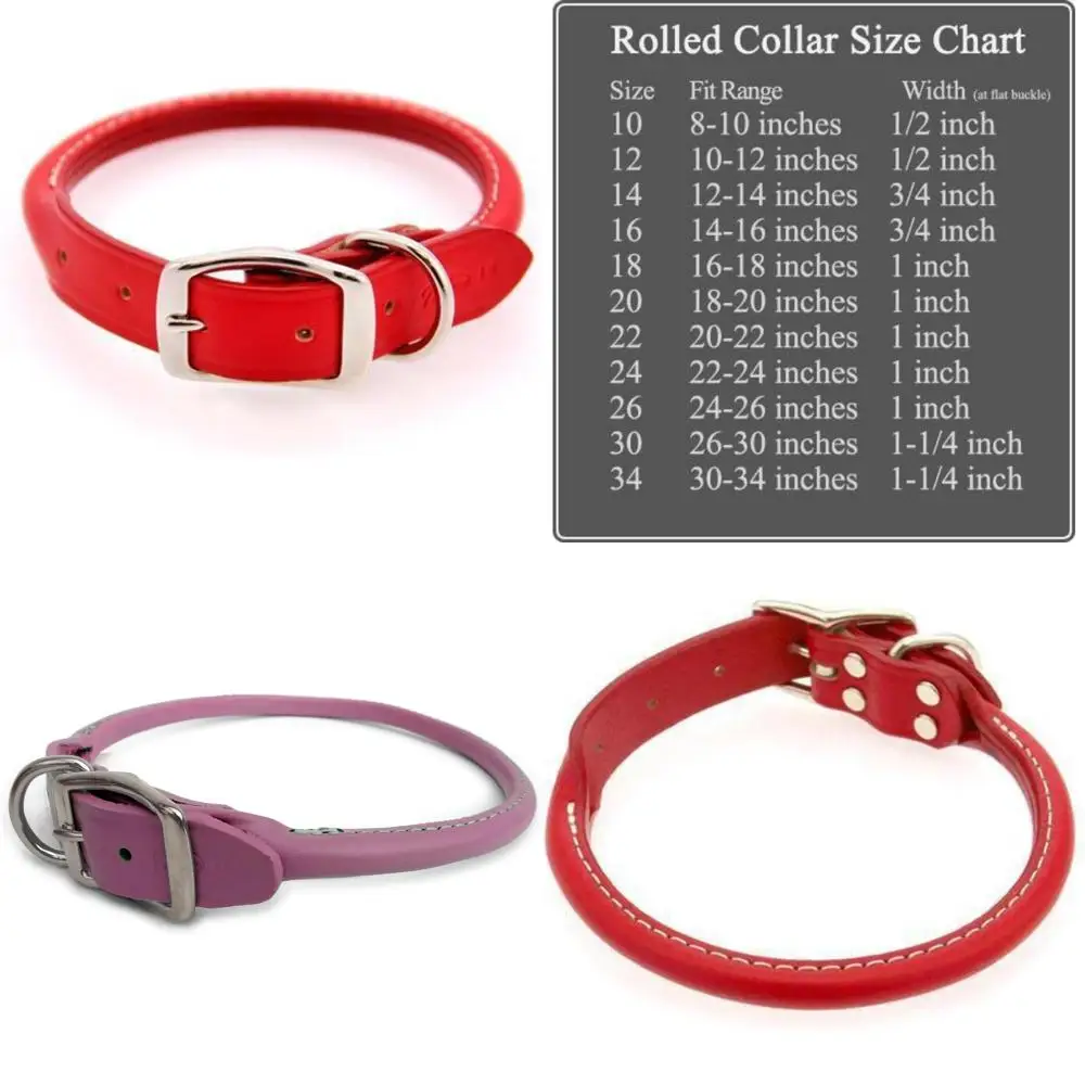 طوق كلب جلدي عريض 1 بوصة باللون الأحمر بطول 24 بوصة، مصنوع يدويًا في الولايات المتحدة الأمريكية، إكسسوار متين وأنيق للحيوانات الأليفة #1