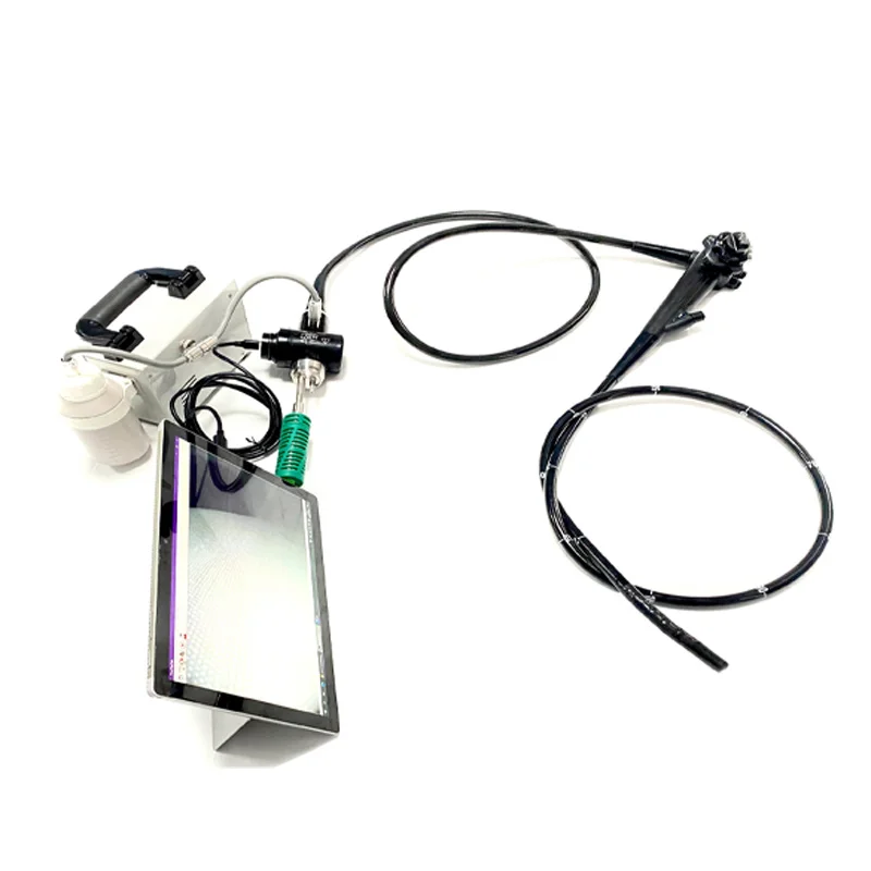 Veterinary Instrument Digital VET USB Colonoscop Flexible Video Colonoscope
