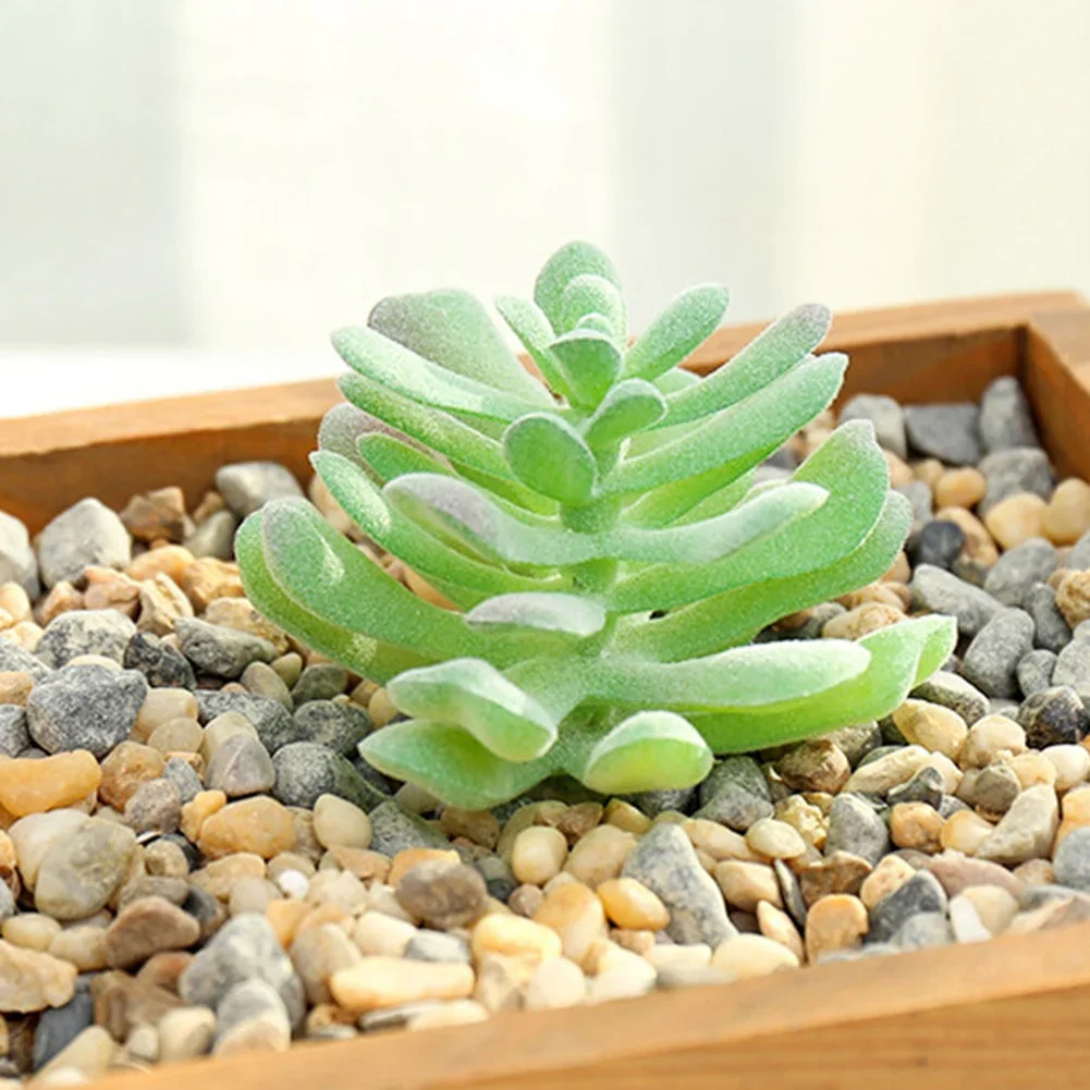 DIY人工多肉植物、偽のサボテン、家の庭、寝室、オフィス、屋外の装飾、デスクトップ、小さな盆栽、新しい