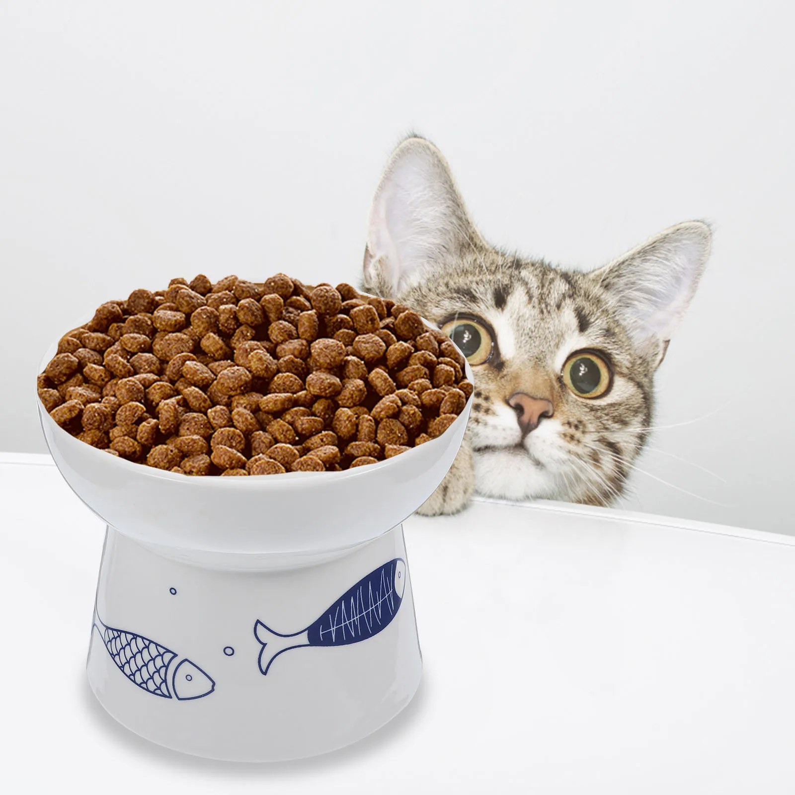 

Kitten Accessory Ceramic Bowl Nonslip Smooth Surface Easy Clean Large Capacity Daily Use Feeding Bowl Dog Accessories