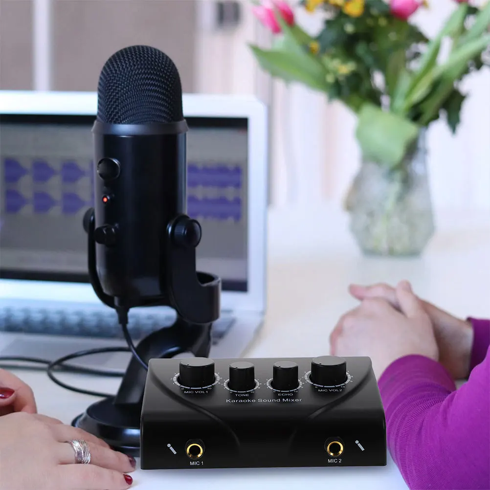 

1Set Karaoke Audio Mixer Dual Mic Inputs Power Adapter Stable Output Low Noise Voice Enhancement for Karaoke Stage Party