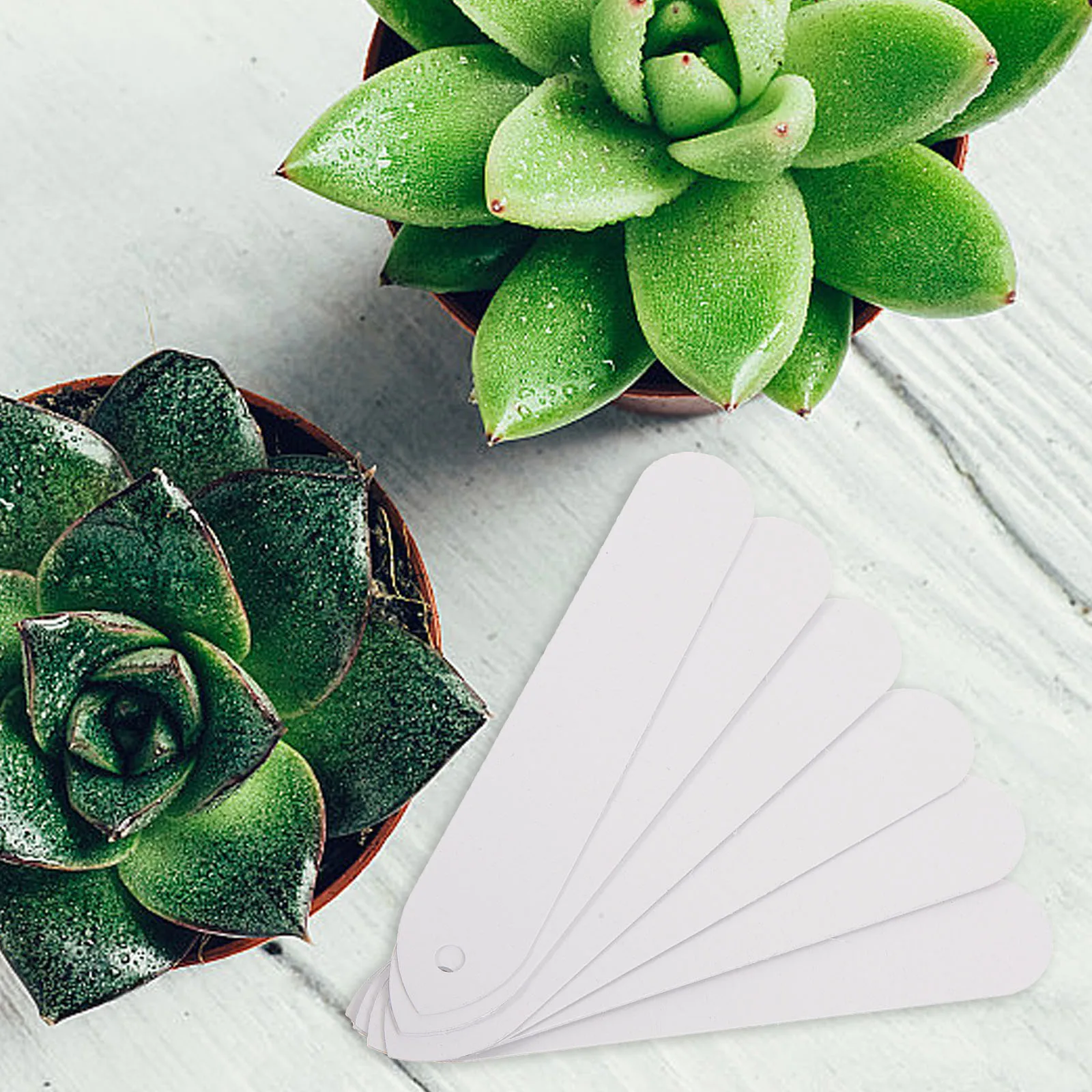 

100 Pcs Waterproof Label Plant Identification Garden Supplies The Sign Tags for Plants Outdoor Pvc Gardening Labels