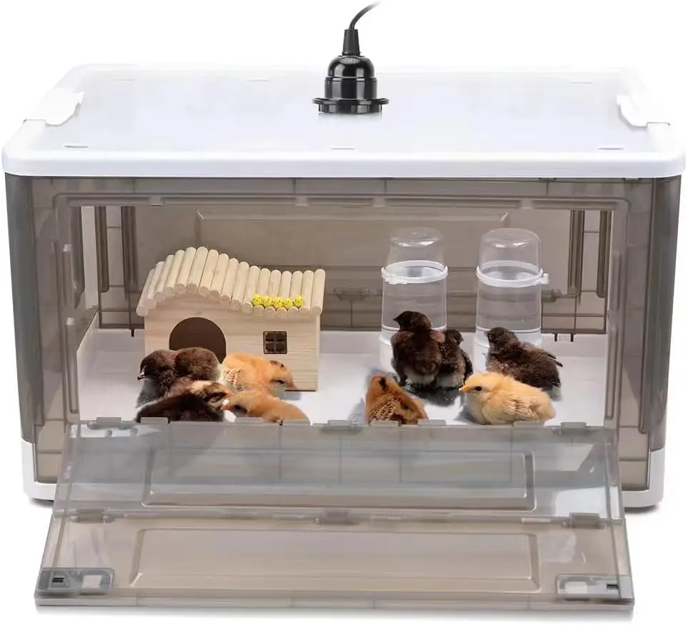 Chick Rearing, Plastic (Assumed), No Color Mentioned, Heats Up to 15 Chicks