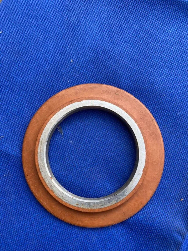 Motor oil retaining ring Y2/1TL0/1LG0/1LE0 oil retaining ring 6319/6317/6322 New 1pcs