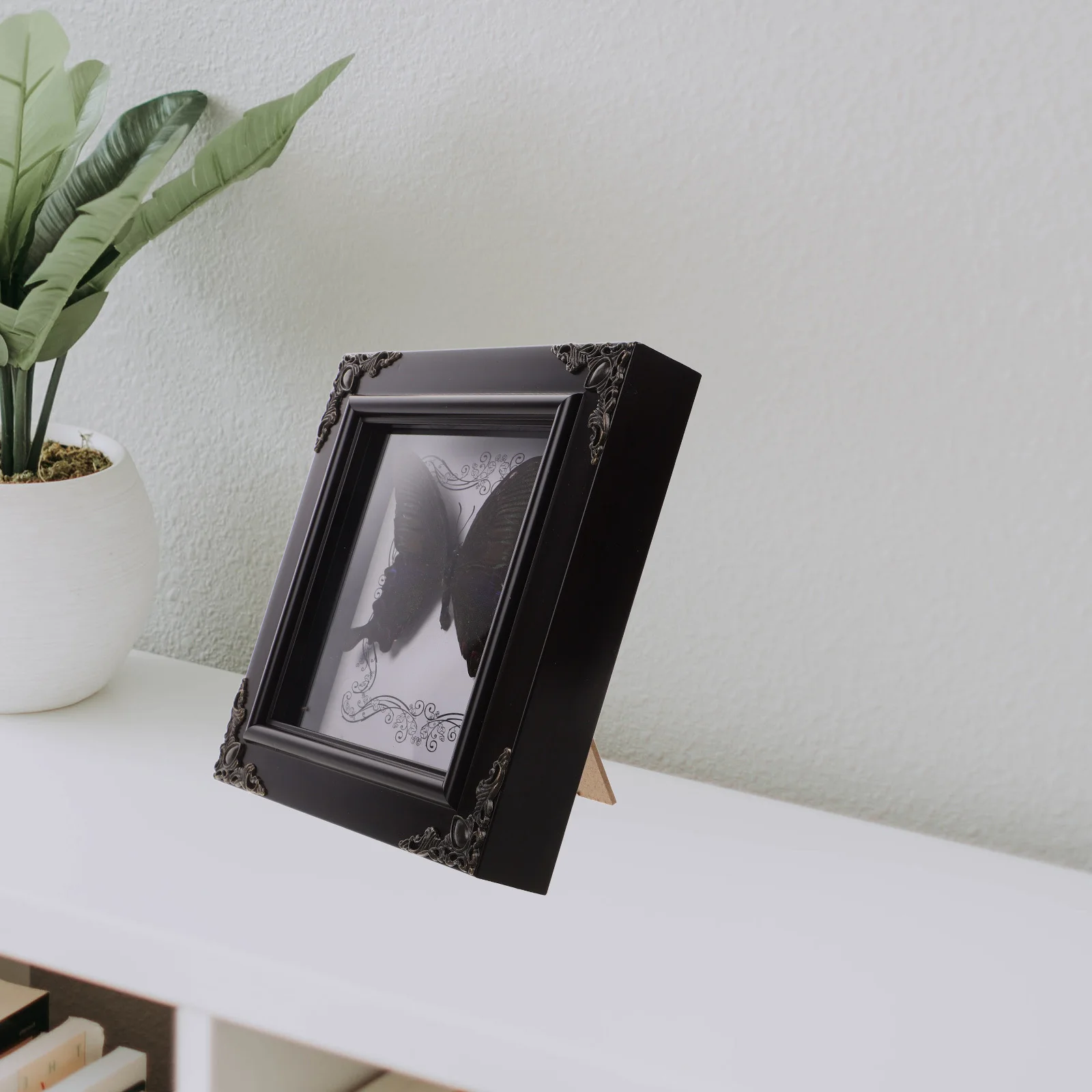 

Framed Butterfly Specimen Display Vintage Style Decorative Art for Home Party Desk Photo Props Butterfly Collection Picture