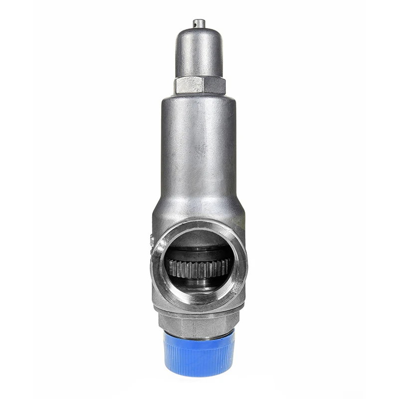

DN50 Safety Valve for Liquid Nitrogen Competitive Price for Pressure Regulation