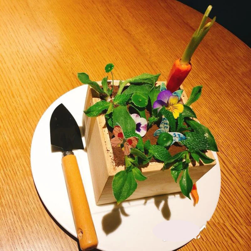 

Egg Shell Opener Automatic Egg Peeling Machine Stainless Steel Poultry Egg Sheller for Efficient Food Machine