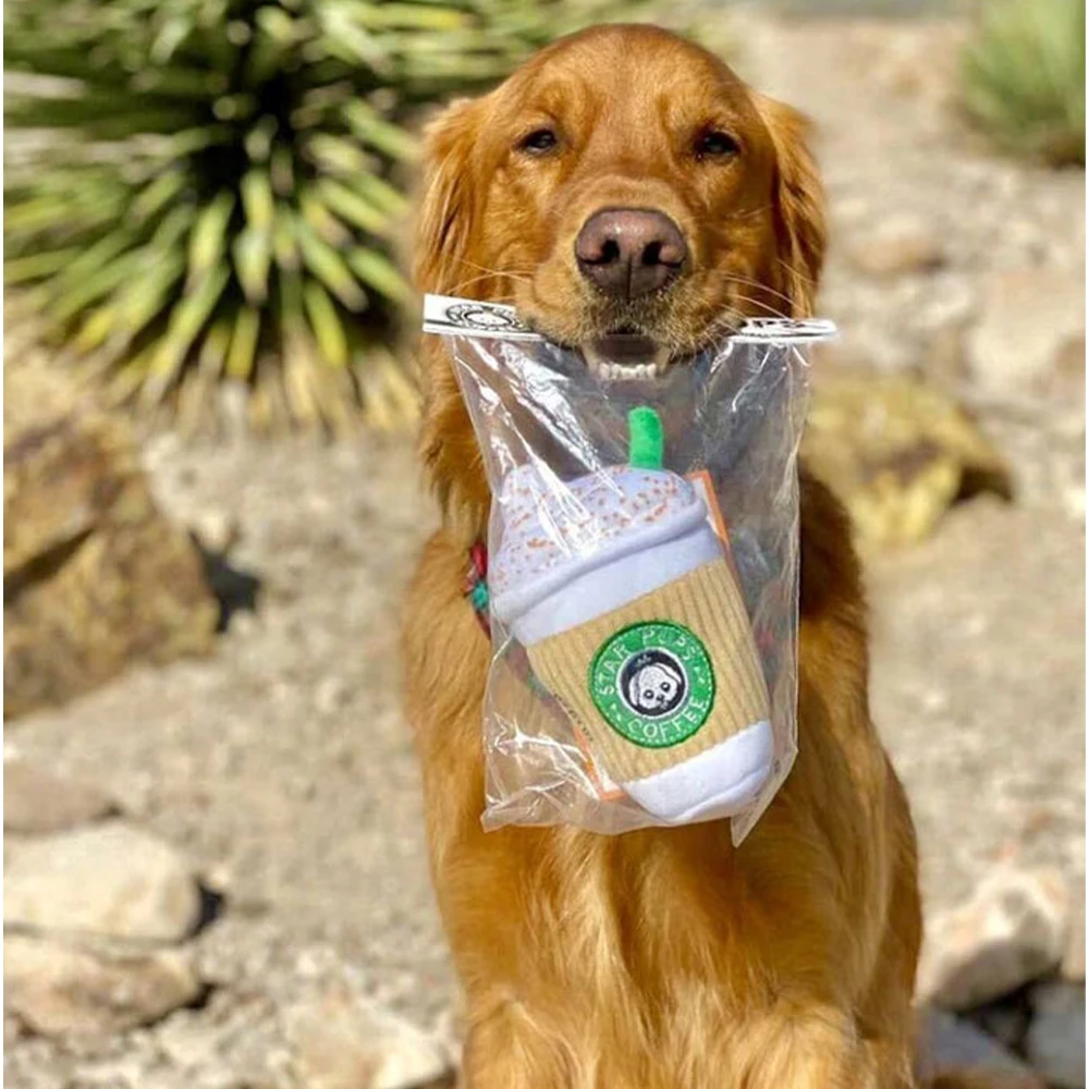 Les jouets fukbb pour chiens une solution interactive et éducative pour les comportements de mastication
