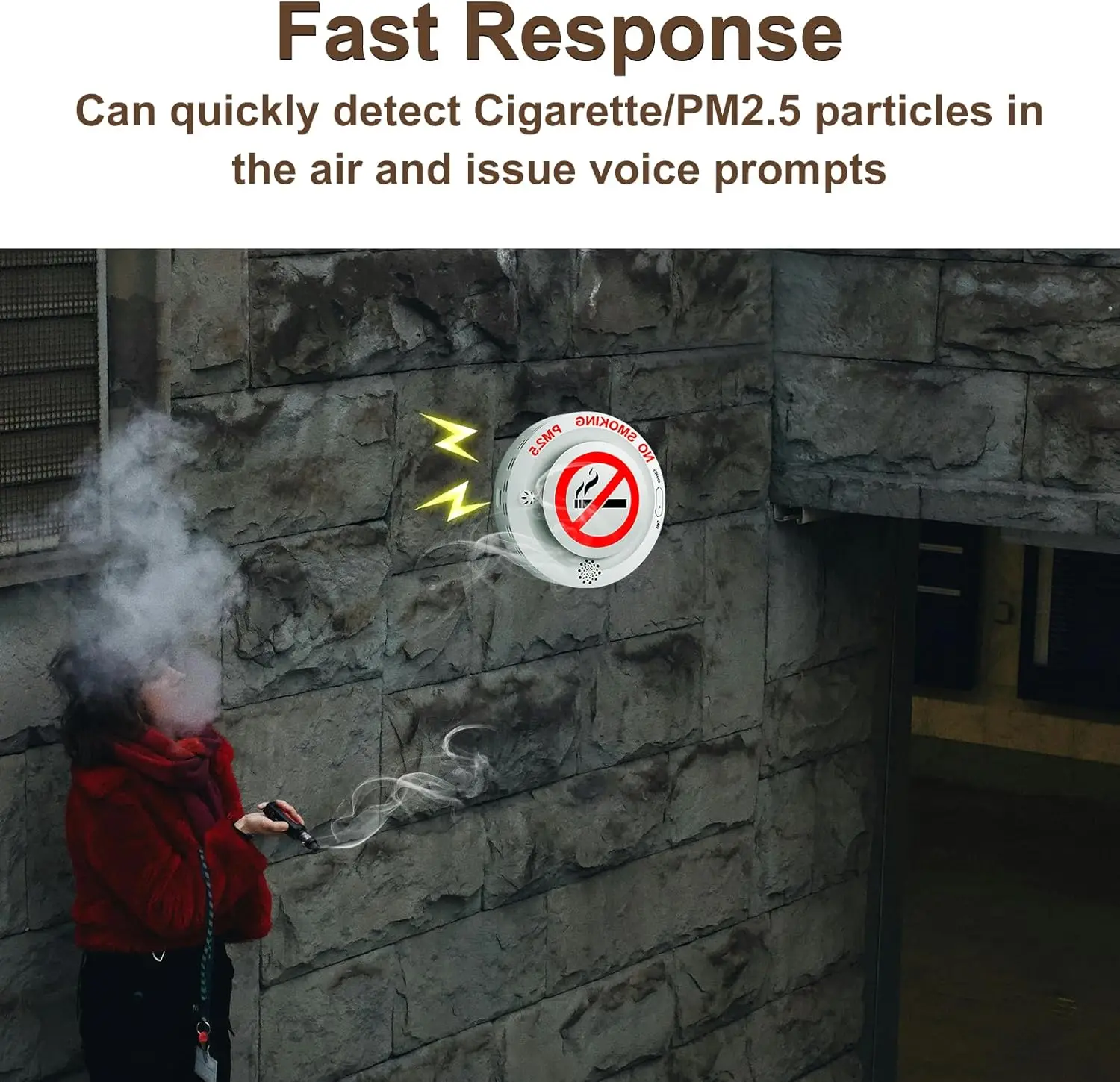 2in1 Cigarette Detector with Remote Control, Vaping and PM2.5 Alarm with Voice Reminder, Tobacco Control Guard Environmental