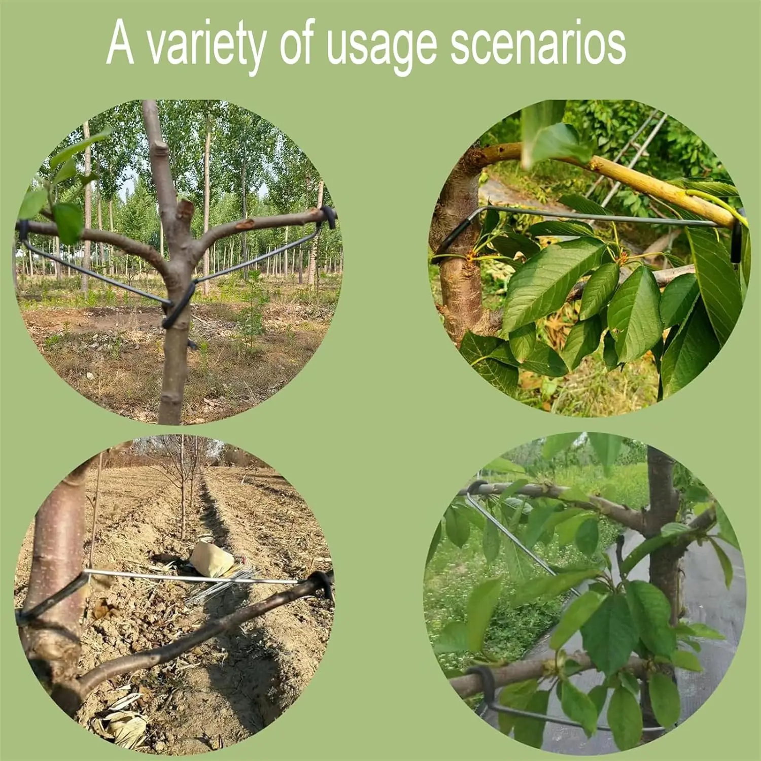 Diseñador de Ramas Ajustable para Árboles Frutales, para Doblar y Entrenar Ramas Laterales, Cuidado de Plantas de Bonsái, Jardín y Huerto