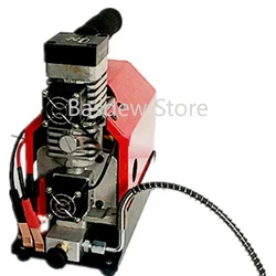 Red Portable Electric High Pressure Air Compressor Oil-Free Air Compressor 12V 250W 2700 R/Min