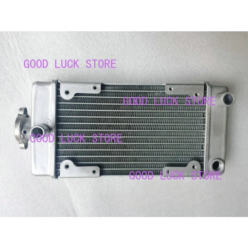 Motorcycle Engine Parts Water Cooler Radiator For Regal Raptor DD250E-9A DD250E-9B DD250G-2N DD350E-6C 250cc Engine