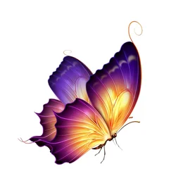 14cm Beautiful Color Butterfly Sticker for Car Stickers Cute, Products PVC Decoration Exterior Parts Accessories Cover Scratches