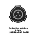 29 Reflective SCP