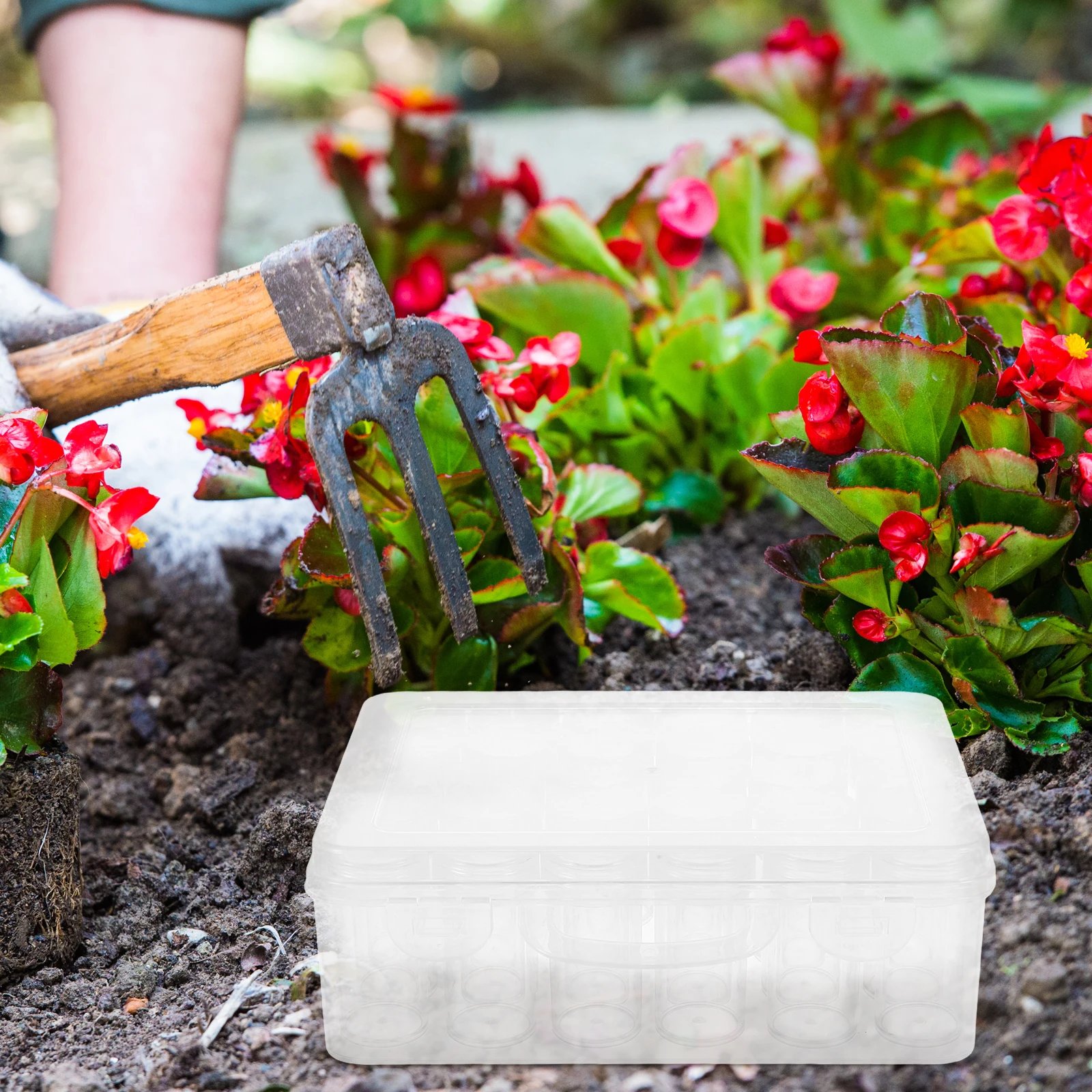 

Seed Storage Box 30 Cells Plastic Organizer Clear Lid Portable Garden Supplies Container for Flower Vegetable Seeds Jewelry