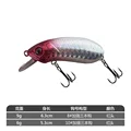Red Head Silver Body