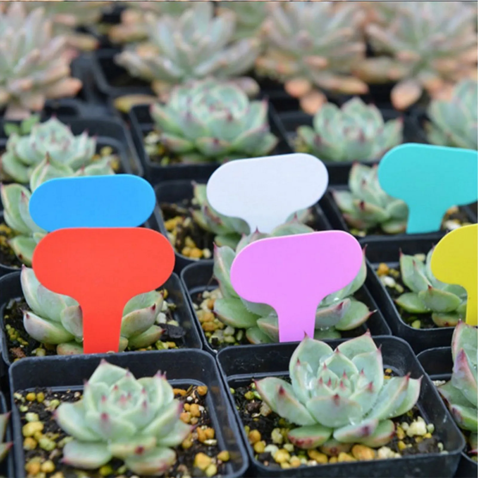 Garden Reusable Plant Labels Waterproof T-type Sign Tags Durable Markers Record Plate Flower Vegetables Potted Stakes 100pcs