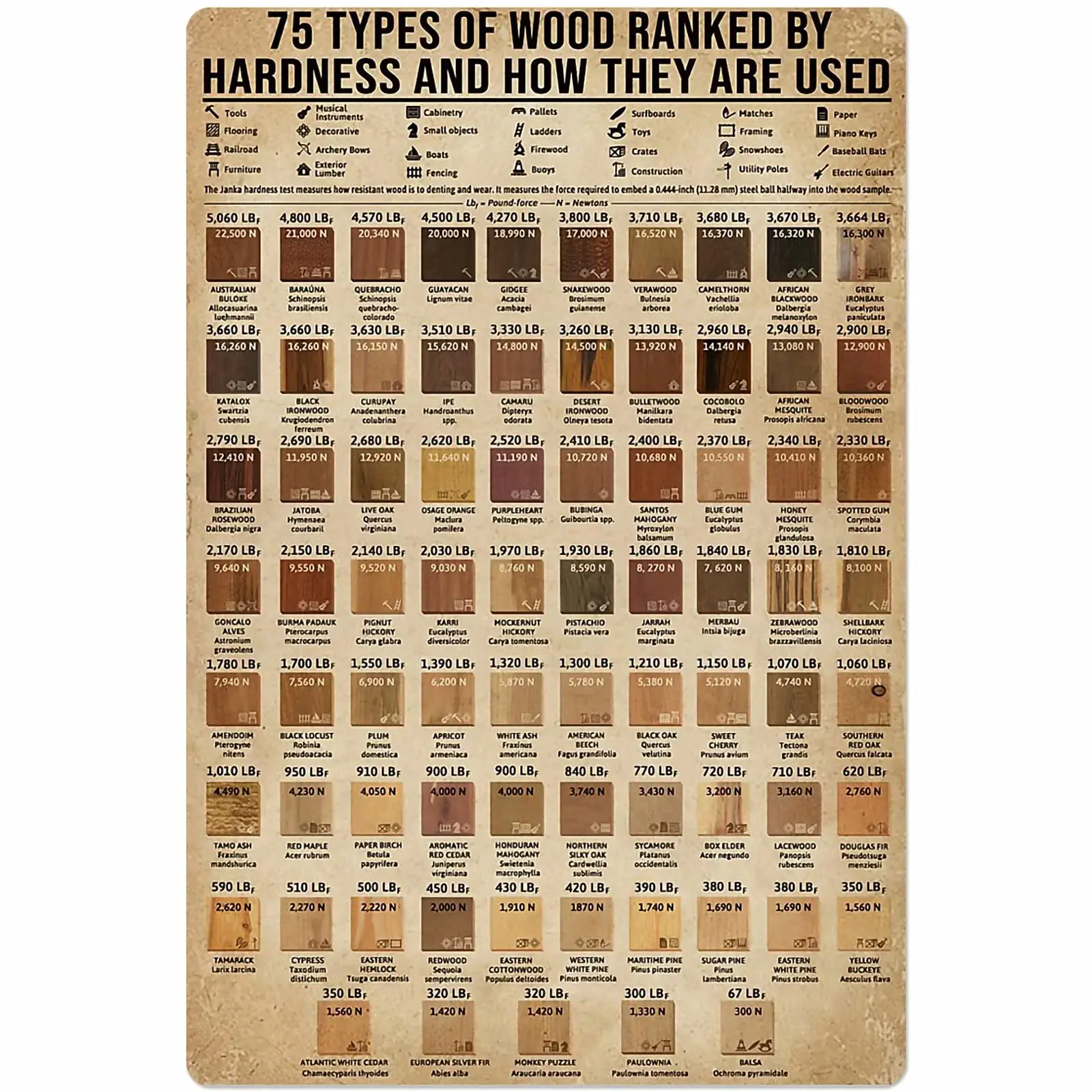 Types of Wood Hardness and Usage Tin Sign Old-Fashioned Knowledge Popular Science Poster Information Table Home Farm School Gara