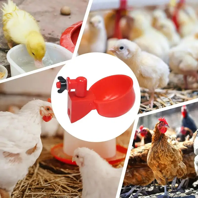 * 10/20Pcs Chicken Duck Drinking Cup Automatic Drinker Chicken Feeder Plastic Poultry Farm Water Drinking Cups Easy Installation