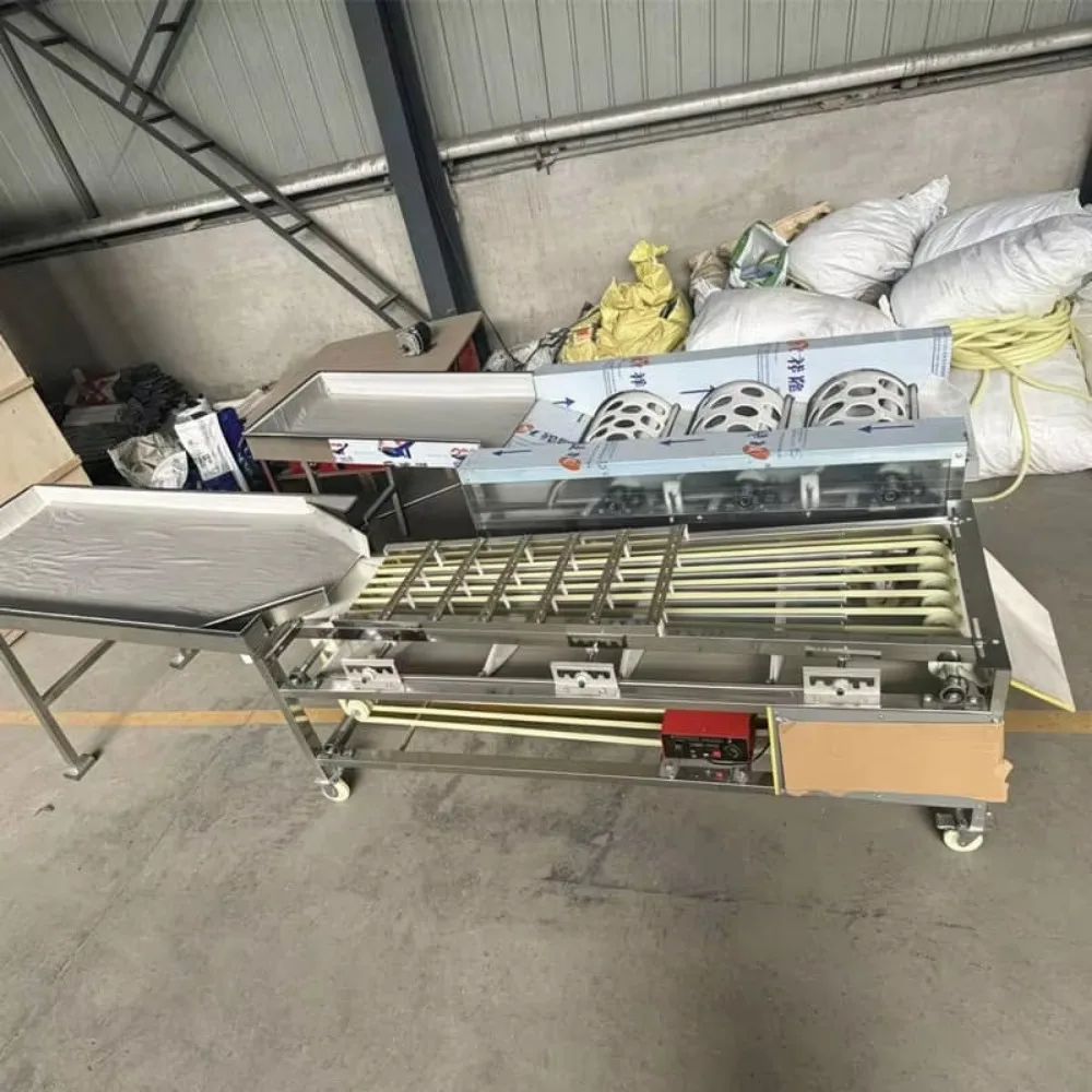 Stainless Steel Fruit Size Grader Automatic Fruit Sorting Machine for Orange Lemon Pear Vegetable Sorting
