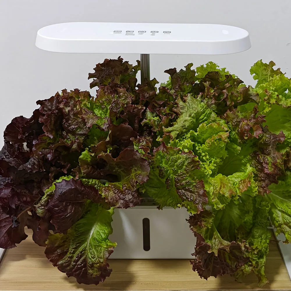 Indoor Small Kitchen Household Planters Smart Automatic Hydroponic Planting System Kit with Pump for Vanilla Gardens