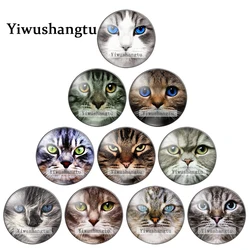New lovely Cat Face Patterns 10pcs mixed 12mm/18mm/20mm/25mm Round photo glass cabochon demo flat back Making findings