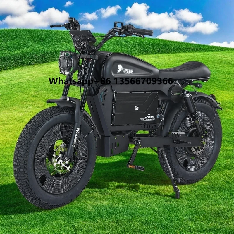 

2025 New HCBK-Black Warrior 1500W 3000W Electric Bicycle 60AH Battery Lithium Battery High Quality Electric Road Bicycle