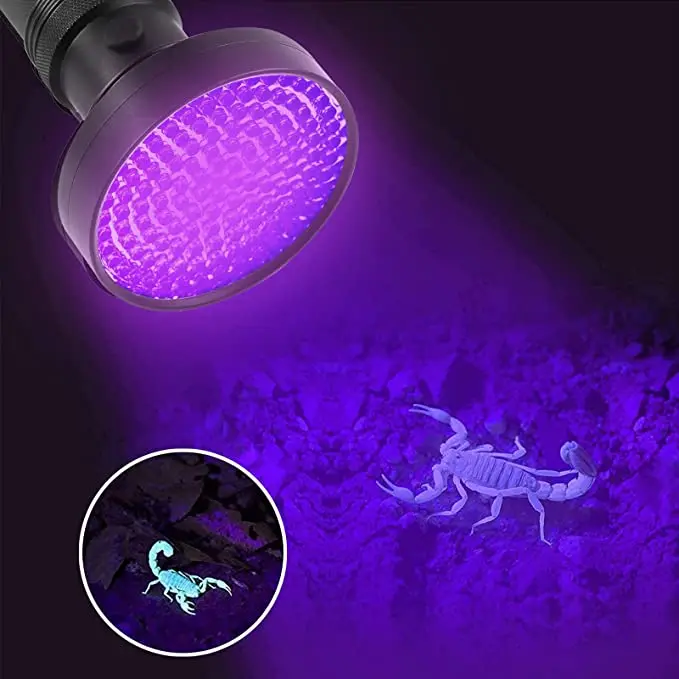 Lampe de poche UV à lumière noire pour la chasse au scorpion, détecteur d\'urine de chiens, déterminer la lampe de poche UV, SAF sec, 395nm