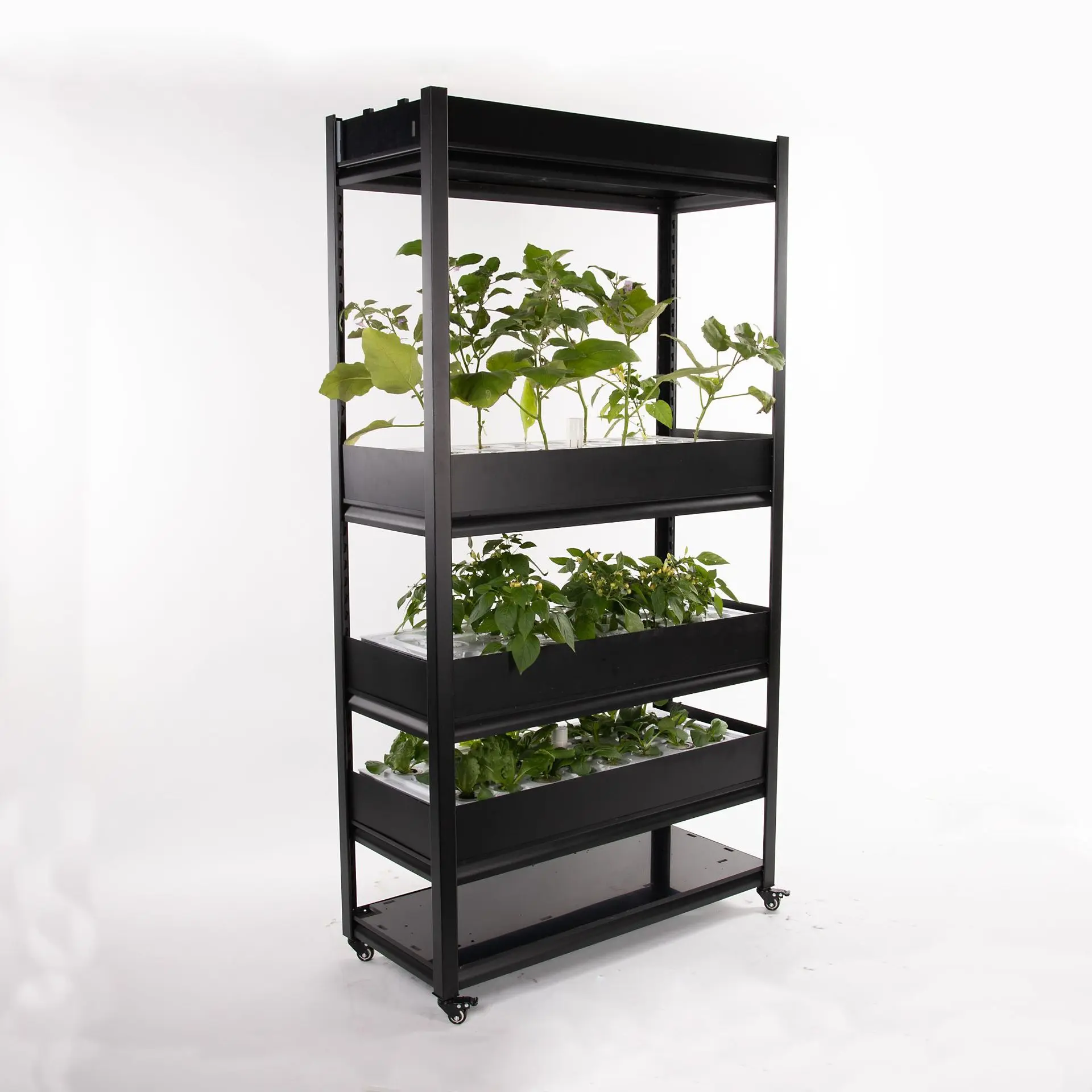 Indoor hydroponic vegetable planting machine, soilless cultivation planting machine, intelligent vegetable planting equipment