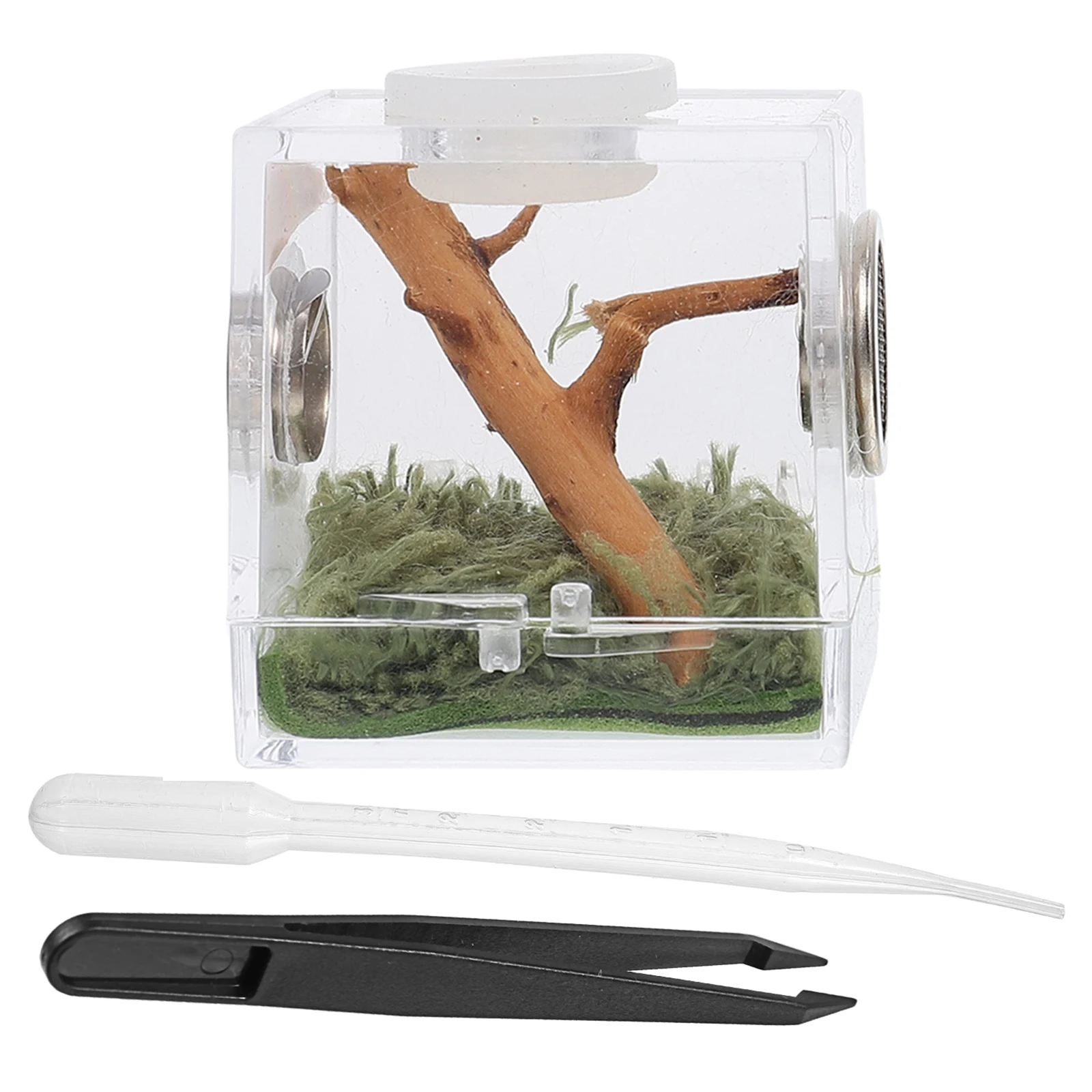 

Jumping Spider Breeding Case Lightweight Small Size Perfect Insects Snails Spiders Reptiles Beetles Table Bookshelf