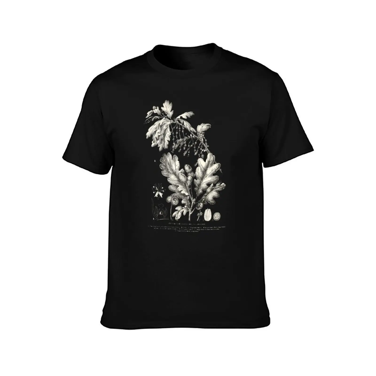 Oak tree leaf scientific illustration T-Shirt Basic Solid Color Short Sleeve T-Shirt