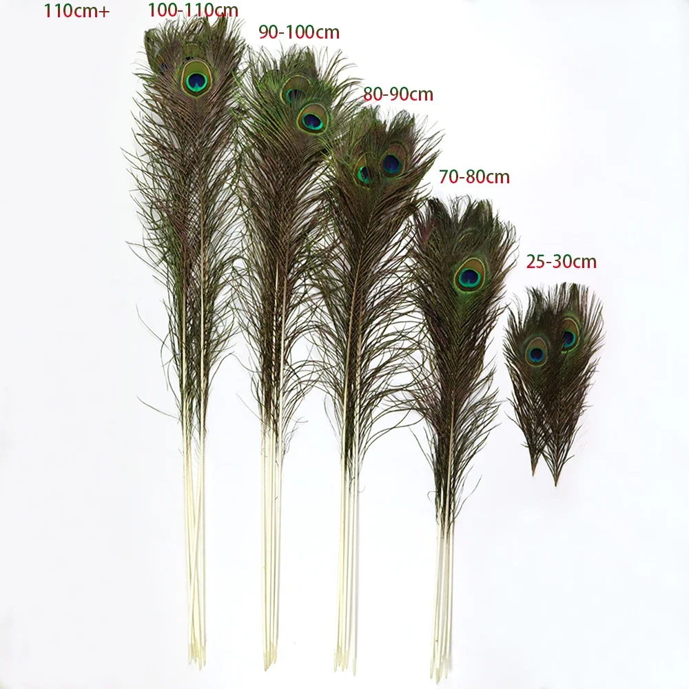 Wholesale 10PCS Natural Big Eyes Peacock feather 25-80CM High Quality feathers for party Home Decorative Peacock Plume