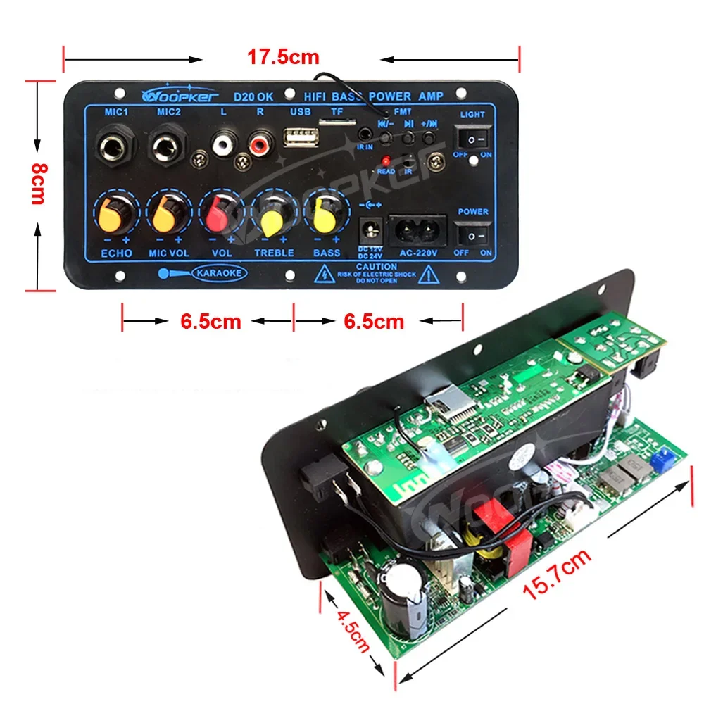 WOOPKER D20 블루투스 앰프 보드, Hifi 서브우퍼 앰프 모듈, 듀얼 마이크 지지대, USB FM TF, DIY 가정용, 60-200W