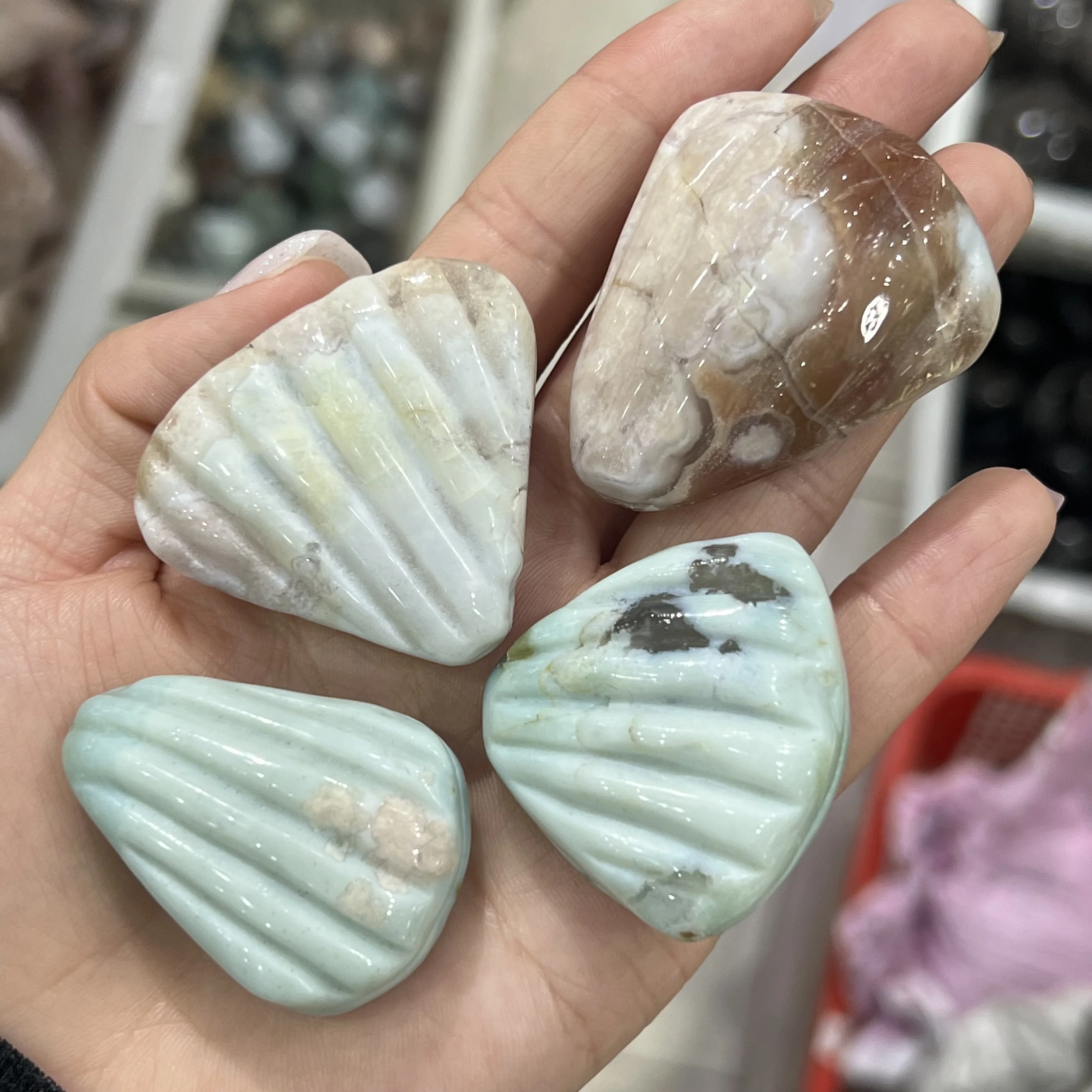 Natural Green Cherry Agate, Shell Shape, Unique Gift Mineral Collection, Healing Energy Stone