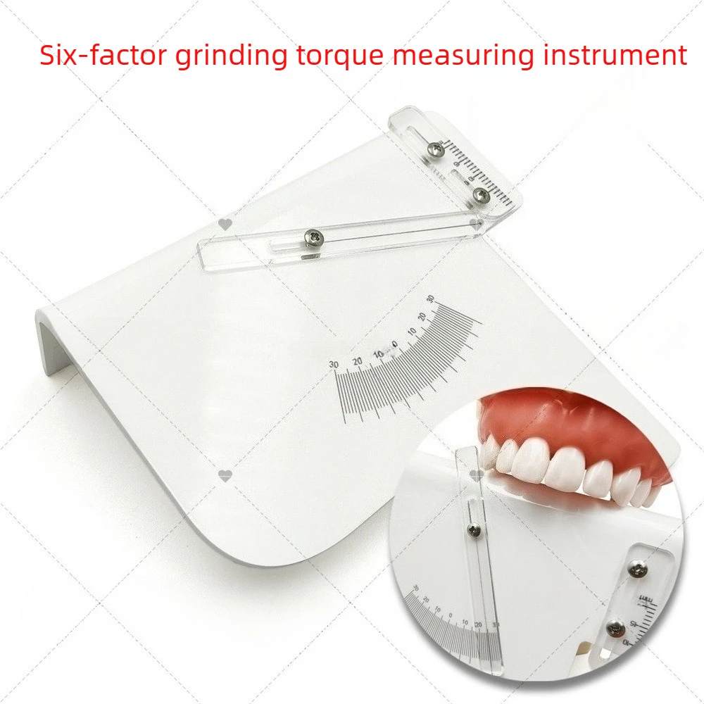 Laboratory Technician Measuring Ruler Molar Torque Measuring Ruler 6 Elements Rulers Model Rulers Laboratory Tools