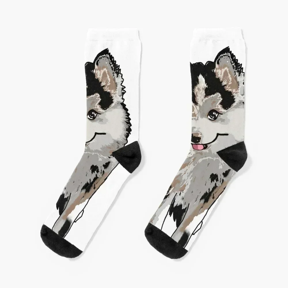 Cute Pomsky Puppy Socks golf Wholesale cotton anti-slip Boy Socks Women's winter gifts luxury short Socks For Women Men's