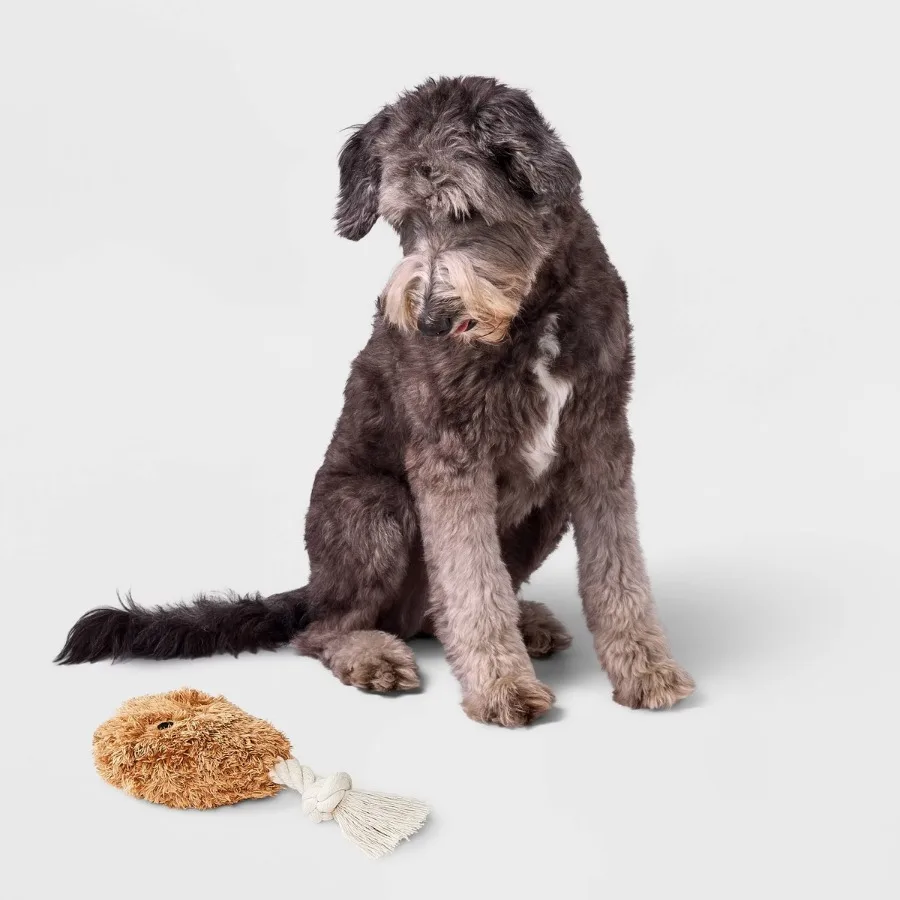 8.5" Chicken Drummie Dog Plush and Rope Toy