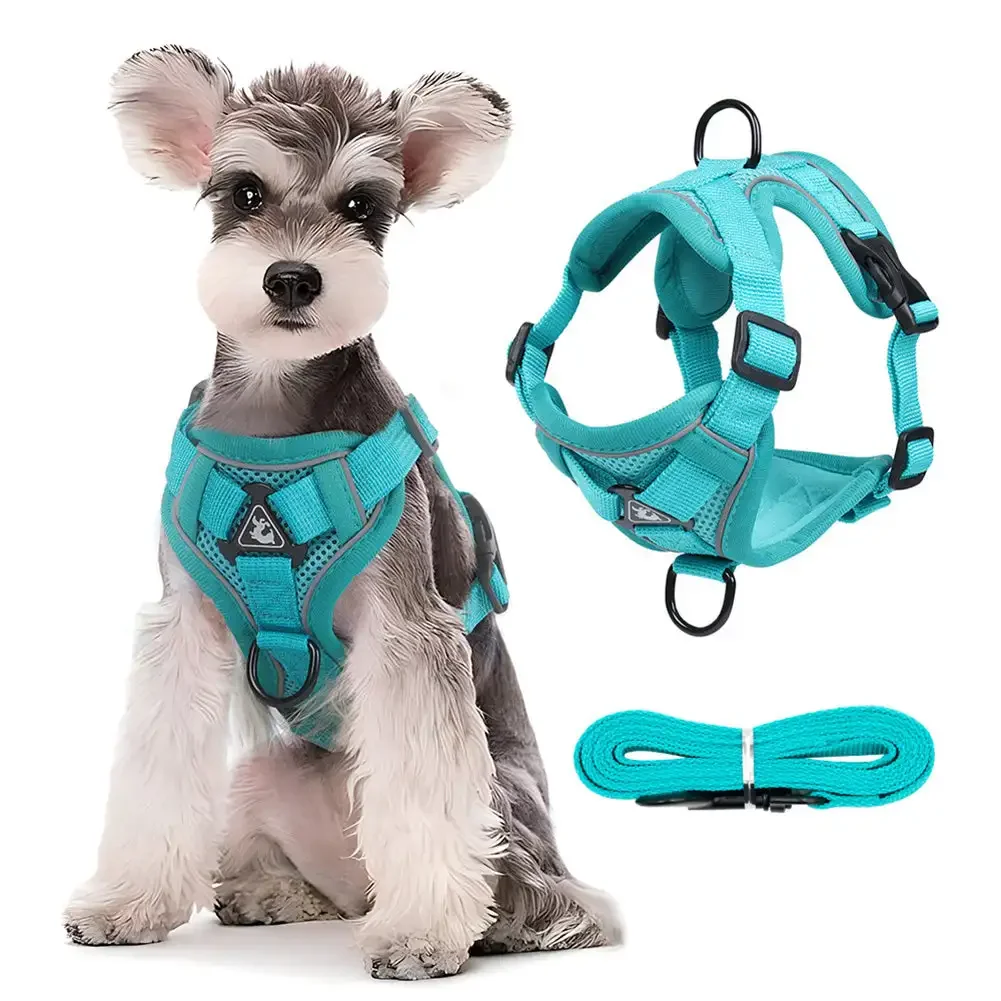Conjuntos Refletivos de Arnês e Trela para Cães e Gatos, Malha Respirável, Pet Harnesses, Cães Pequenos, Acessórios Gatinho, Chat, Moda