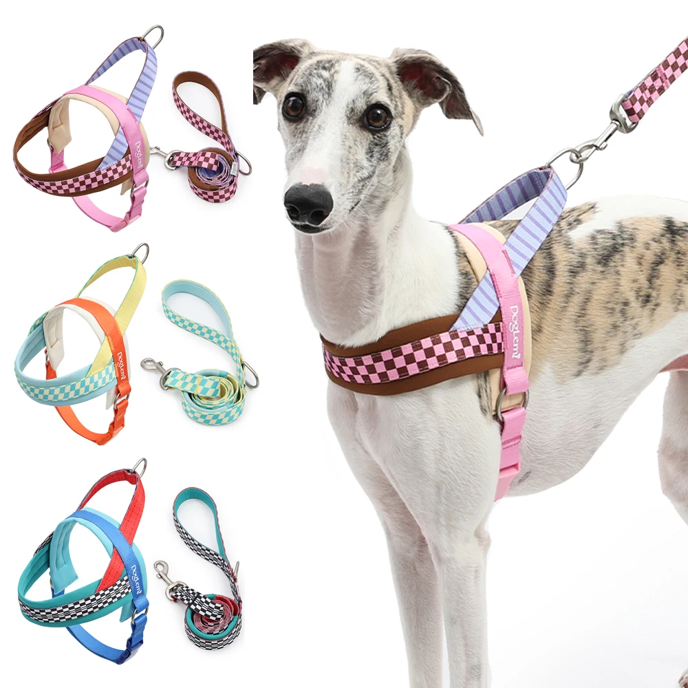 No-Pull Dog Harness Set with Leash Color Blocking Heavy Duty Pet Dog Harness with Control Handle Soft Padded Dog Harness Vest