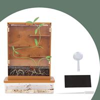 Green Life Science Grow A Maze Kits Observe Fun Educational for Children