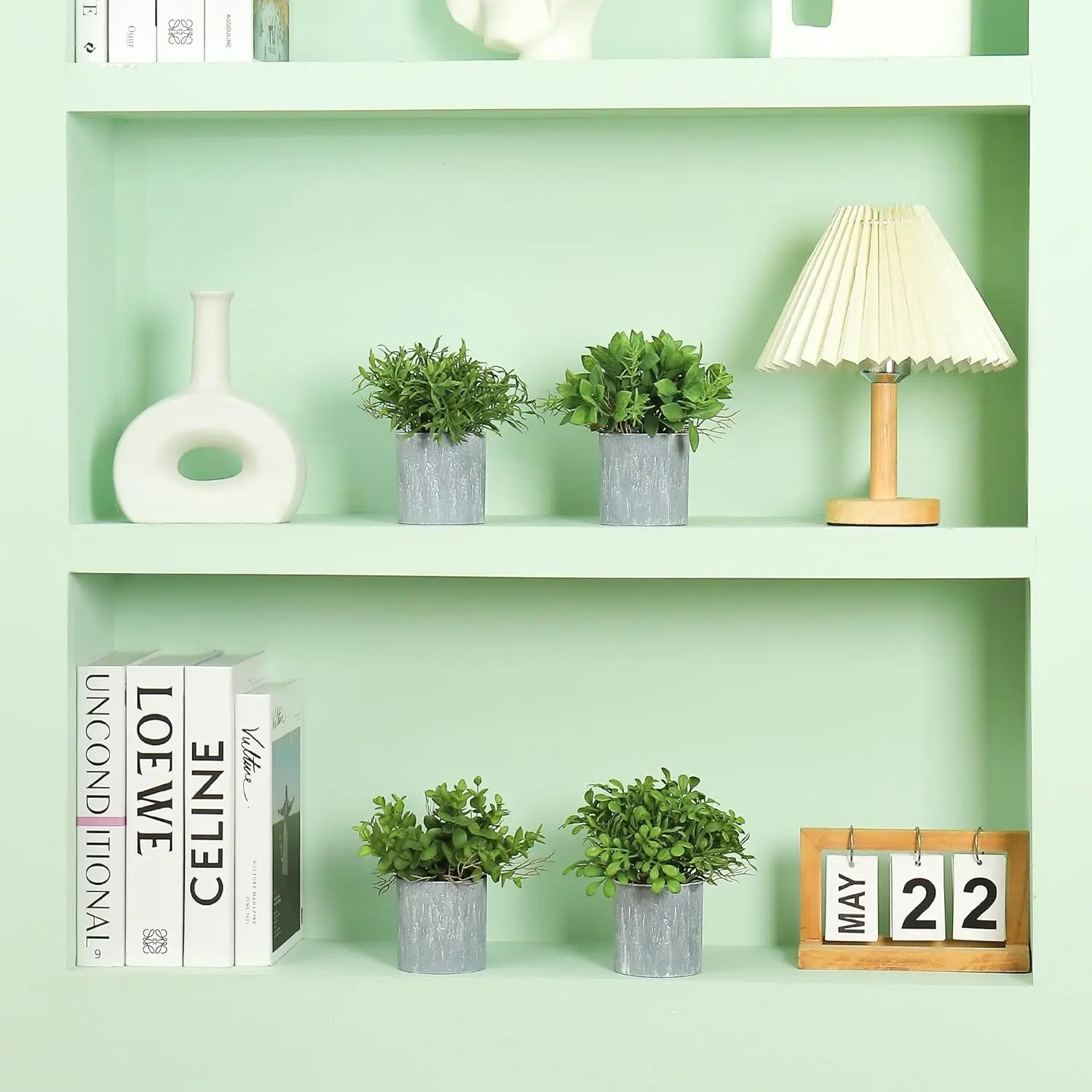 Rośliny doniczkowe 2