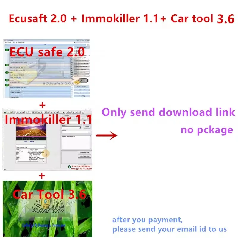 ECUSafe-immokiller V 2,0, Software v1.1 ImmoKiller v1.1, Software Cartool 2,0, ayuda gratuita, novedad, oferta, 1,1 ECU, ECM 3,6