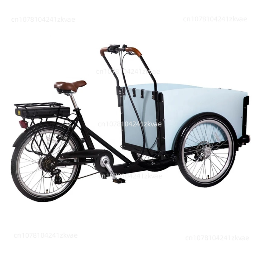 New adult electric cargo 3 wheel tricycle E-cargo 10AH battery disc brake/V brake