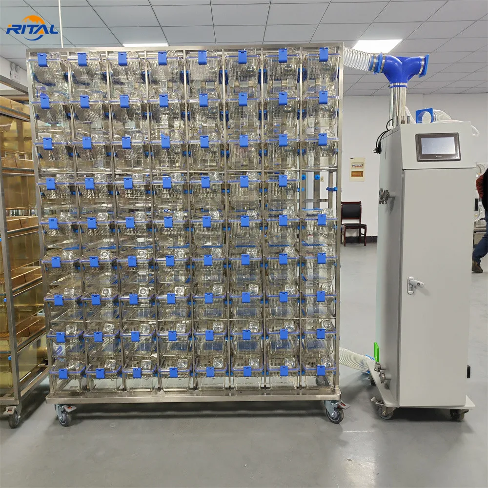 Lab Ivc Spf Mouse M… - image