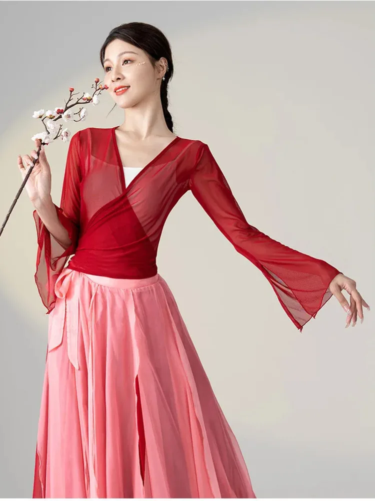 

Элегантный женский топ из прозрачной сетки с v-образным вырезом и длинными рукавами, однотонная облегающая танцевальная рубашка для классического выступления на сцене