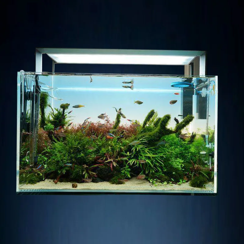 

Customized Different Size Fish Tank Coral LED Aquarium fresh water plant fish light for tank