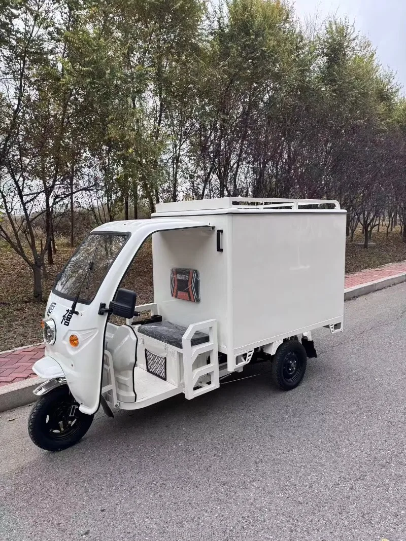 Big Volume Cargo Box Electric Tricycle Three Wheel Electric Cargo Carrier Lead Acid Battery Long Standby Logistics Delivery