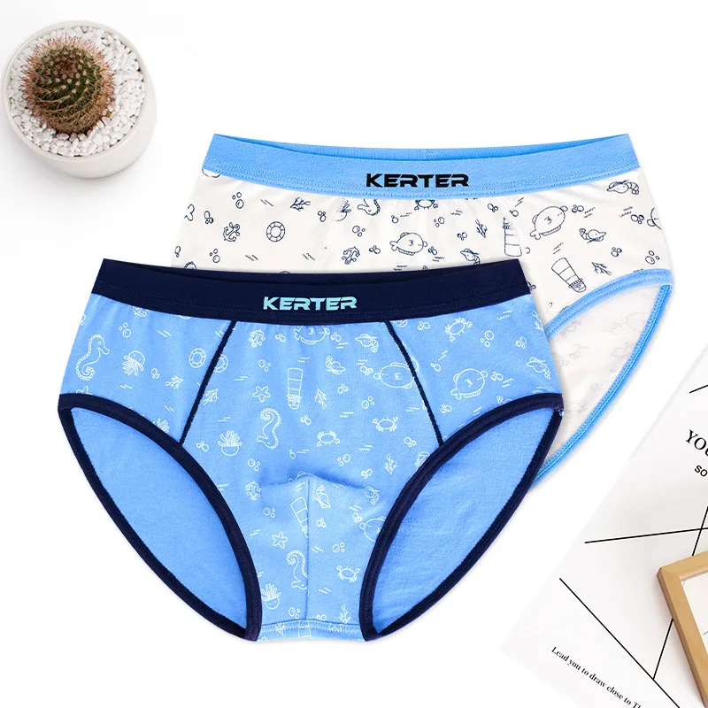 Cartoon Cotton Boys Briefs Underwear Kids Quality Blue Boy Panties Boys Clothes for 3 4 6 8 10 12 14 Years Old RKU183006