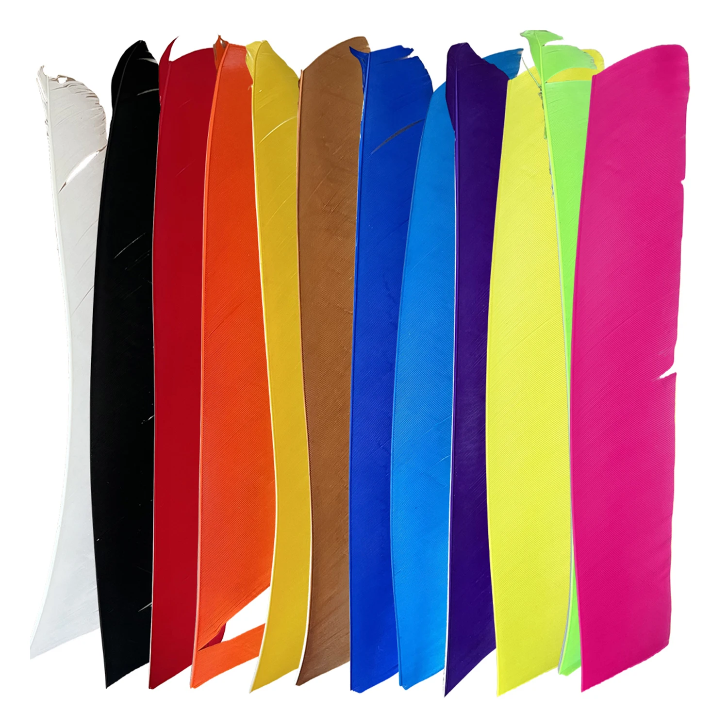 50Pcs 9-10Inch Fletching Arrow Feathers Multicolor Full length Real Turkey Feather NO Cut