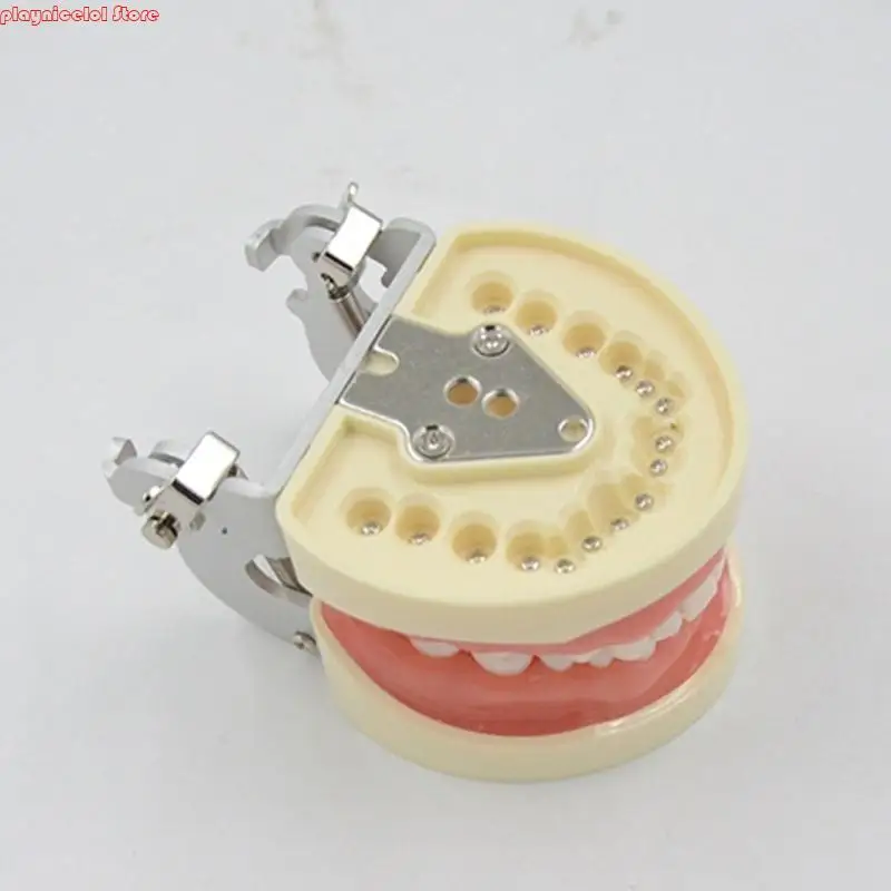 E8BA AMOVIBLE DÉTES DÉTRES AVEC